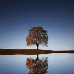 Conferenza Onu sull'acqua