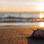 Misure per viaggiatori in vista dell'estate