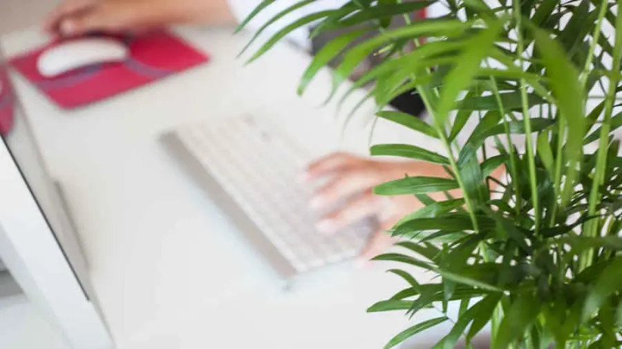 Home office in Svizzera