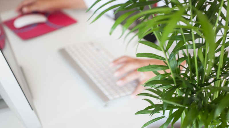 Home office in Svizzera