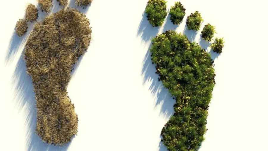 Ridurre le emissioni di gas serra