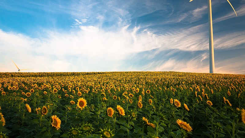 La crisi climatica e quella pandemica