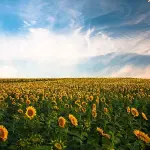 La crisi climatica e quella pandemica