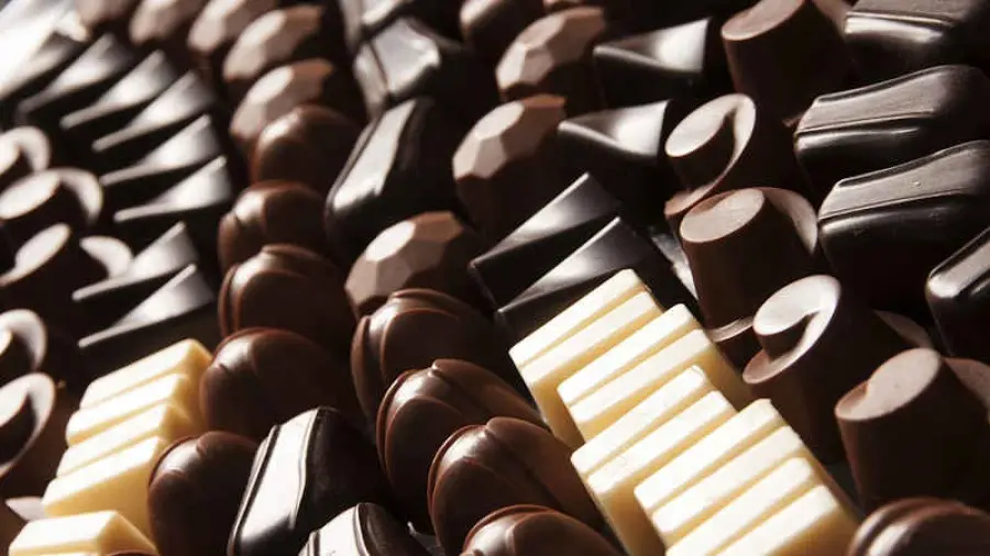 Azienda di cioccolato Choba Choba