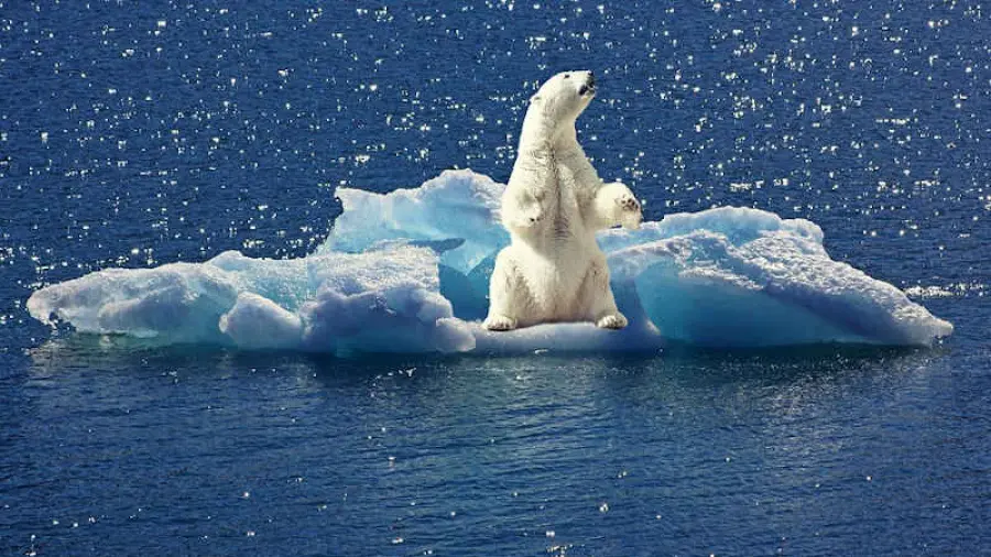 Movimenti per il clima