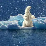 Movimenti per il clima