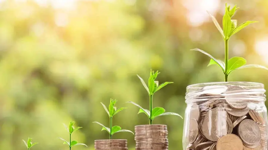 Portafoglio monitorato digitale