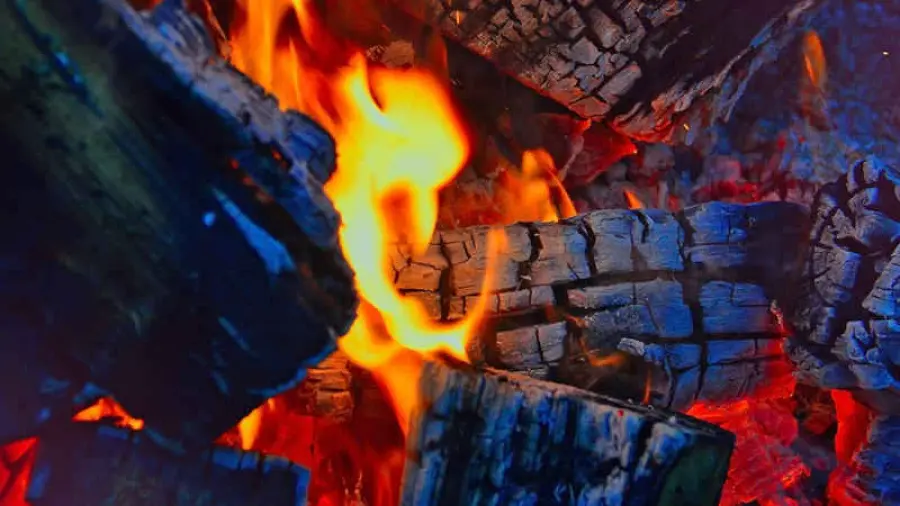 Aumento delle vendite di legna da ardere