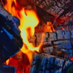 Aumento delle vendite di legna da ardere