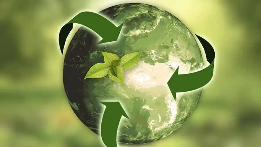 Servizi di finanza sostenibile in Svizzera