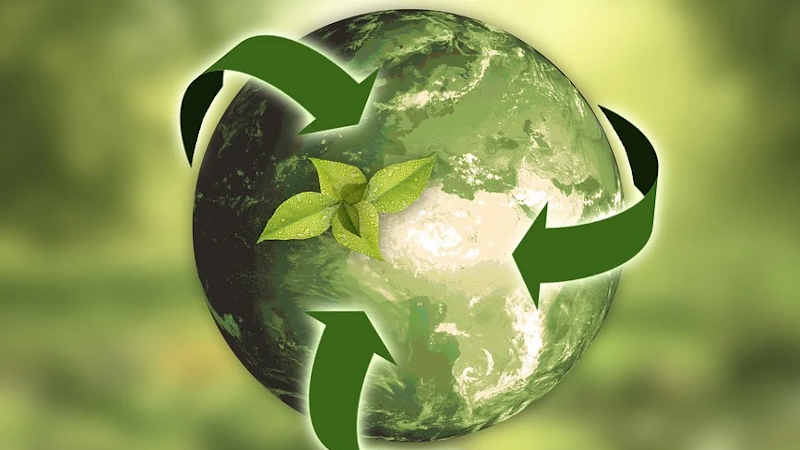 Servizi di finanza sostenibile in Svizzera