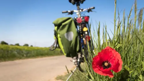 Termine dello stato di necessità