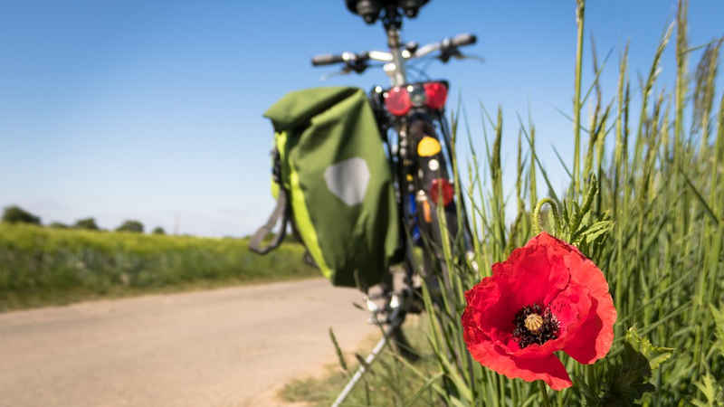 Termine dello stato di necessità