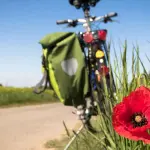 Termine dello stato di necessità