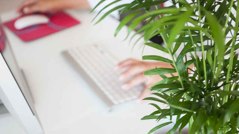 Il telelavoro nella fase 3