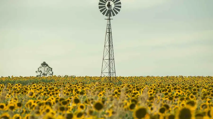 Ripresa economica e protezione dell’ambiente