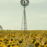 Ripresa economica e protezione dell’ambiente