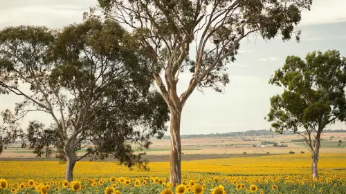 Attivisti per il clima e rilancio ecologico