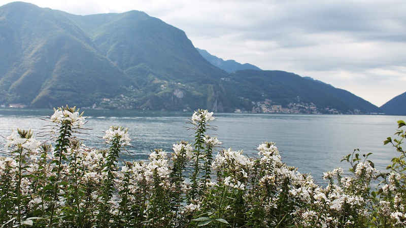 Lugano Airport in liquidazione