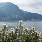 Lugano Airport in liquidazione
