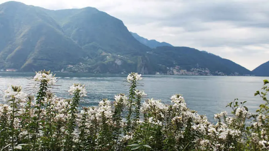 Lugano Airport in liquidazione