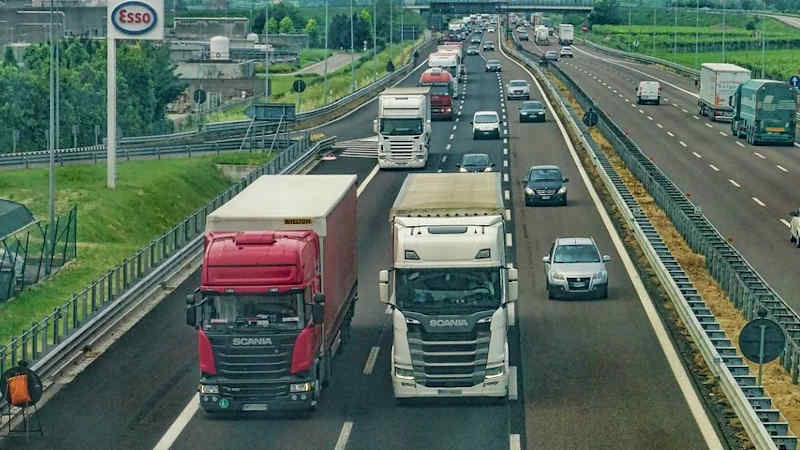 Vignetta svizzera online