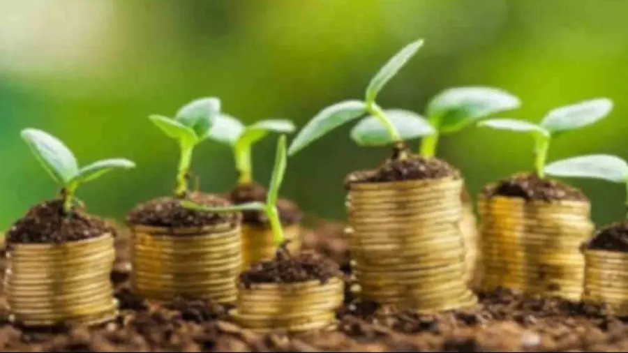 Finanza sostenibile per lo sviluppo dell'economia