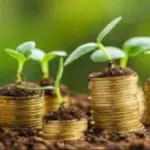 Finanza sostenibile per lo sviluppo dell'economia