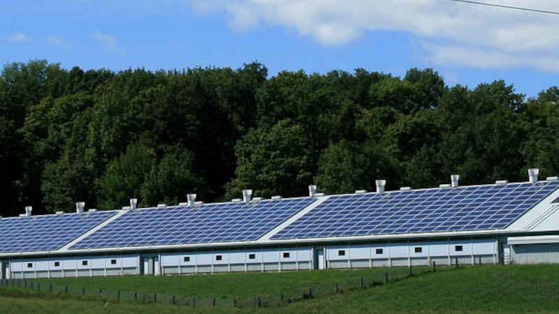 Risultati del programma di economia sostenibile