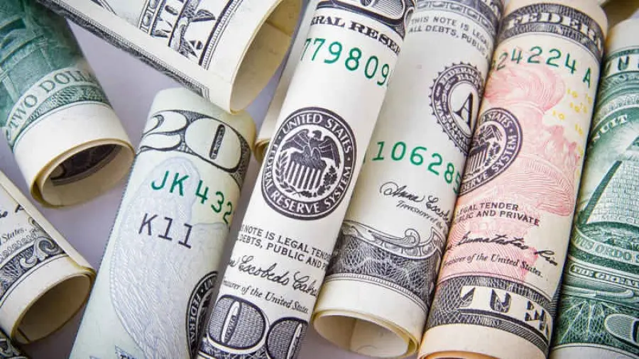 L’euro e il dollaro sono le monete estere con importanza maggiore