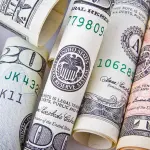 L’euro e il dollaro sono le monete estere con importanza maggiore