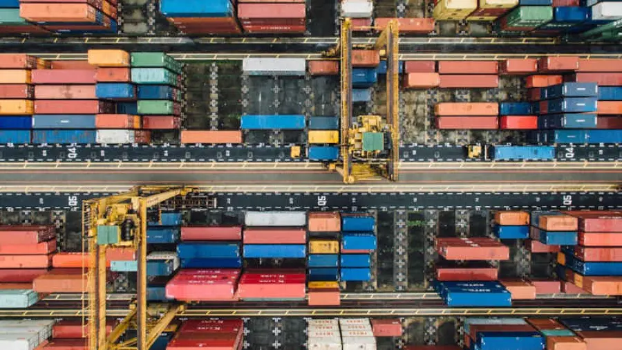 Esportazioni dei vari settori